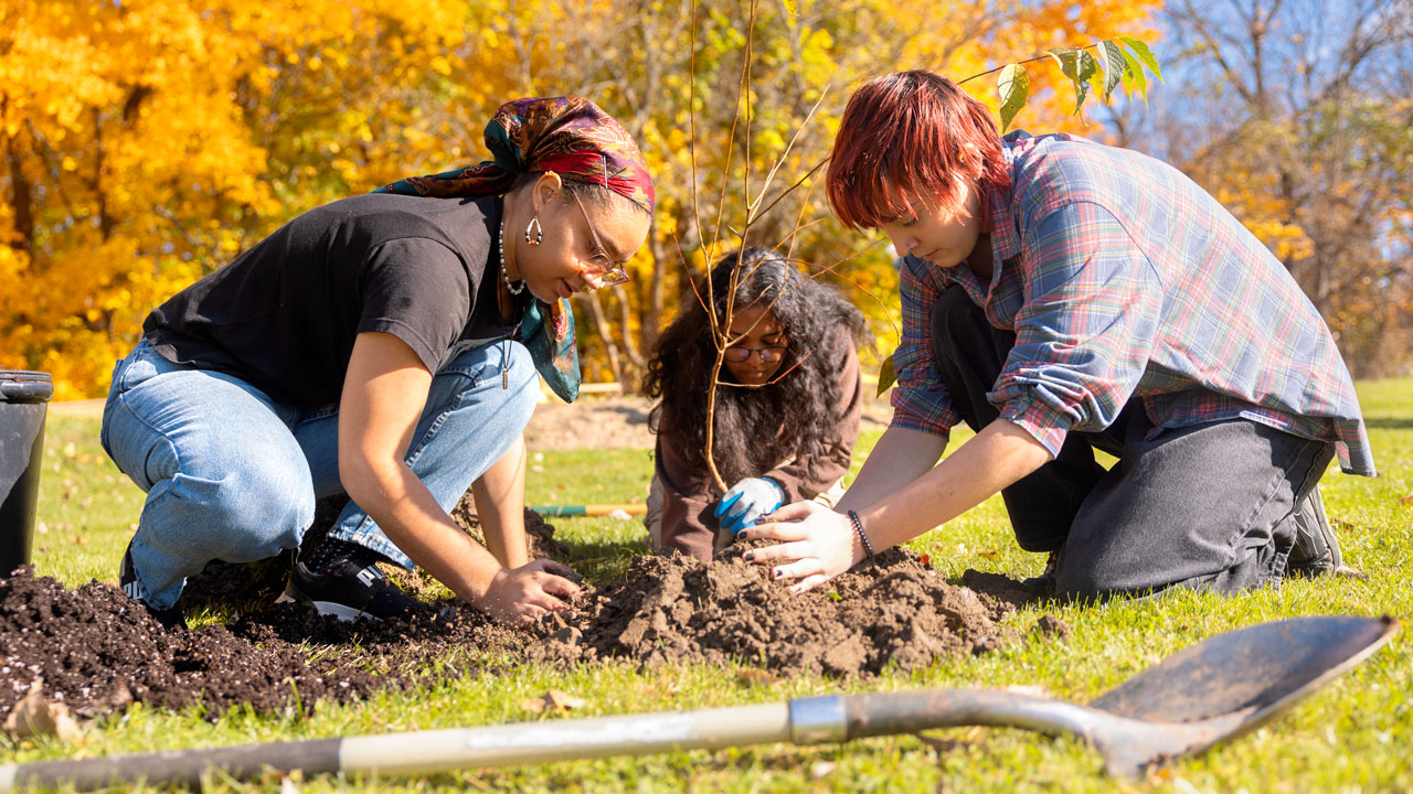 students working with their hands in ons medicinal garden 