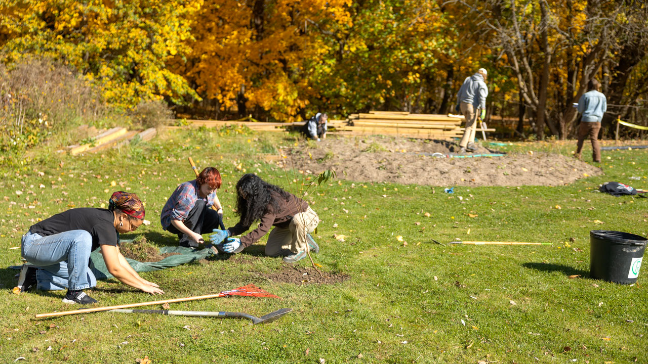 wide angle shot of students working in ons medicinal garden 